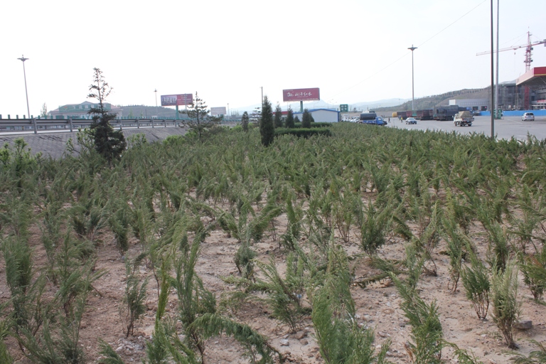 �������ٹ�·������վ�^(q��)�G������ȫ��չ�_